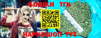 индика Татарск