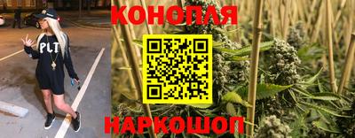 спиды Тара